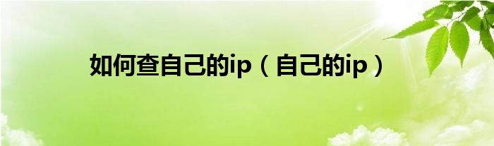 如何查自己的ip【自己的ip】