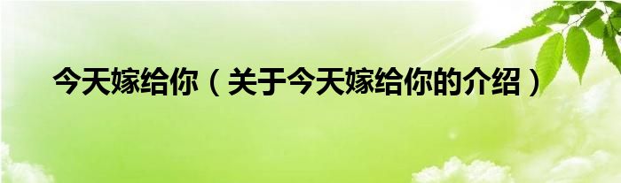 今天嫁给你【关于今天嫁给你的介绍】