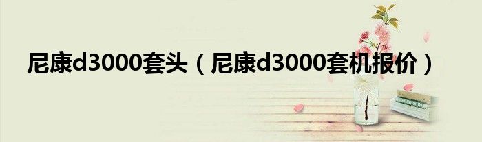 尼康d3000套头【尼康d3000套机报价】