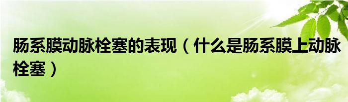 肠系膜动脉栓塞的表现【什么是肠系膜上动脉栓塞】