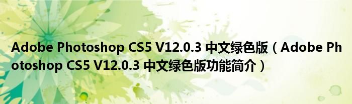 Adobe Photoshop CS5 V12.0.3 中文绿色版【Adobe Photoshop CS5 V12.0.3 中文绿色版功能简介】