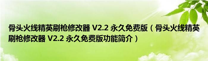 骨头火线精英刷枪修改器 V2.2 永久免费版【骨头火线精英刷枪修改器 V2.2 永久免费版功能简介】