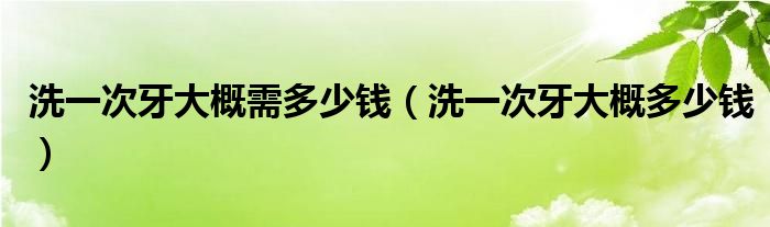 洗一次牙大概需多少钱【洗一次牙大概多少钱】