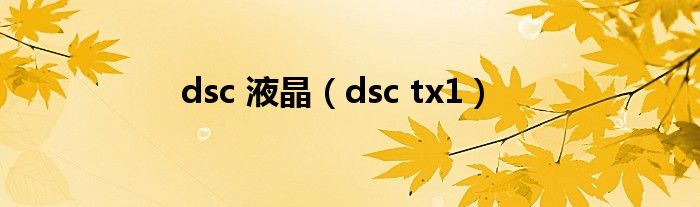 dsc 液晶【dsc tx1】