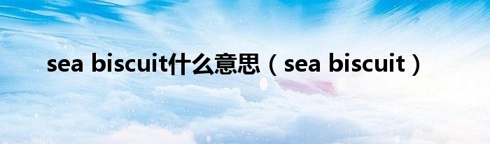 sea biscuit什么意思【sea biscuit】