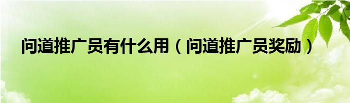 问道推广员有什么用【问道推广员奖励】