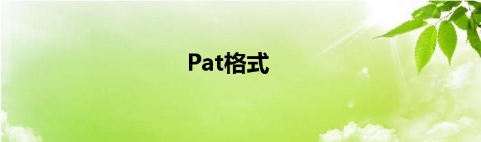 Pat格式