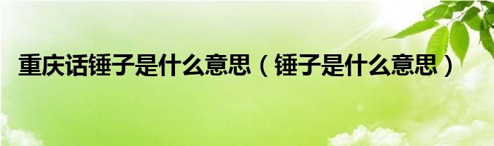 重庆话锤子是什么意思【锤子是什么意思】