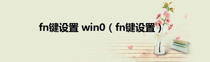 fn键设置 win0【fn键设置】