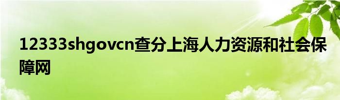 12333shgovcn查分上海人力资源和社会保障网