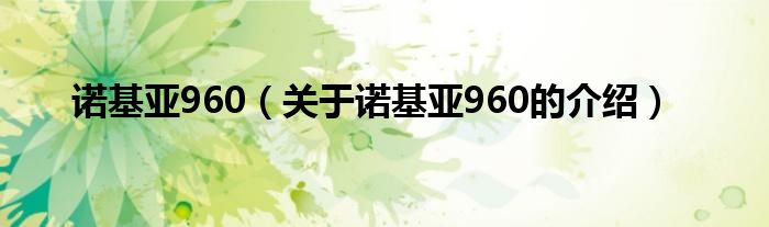 诺基亚960【关于诺基亚960的介绍】