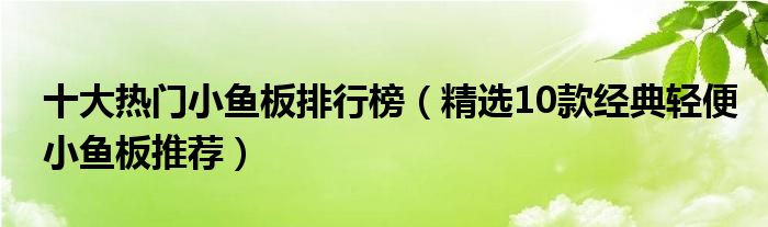 十大热门小鱼板排行榜【精选10款经典轻便小鱼板推荐】