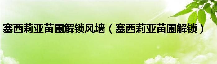 塞西莉亚苗圃解锁风墙【塞西莉亚苗圃解锁】