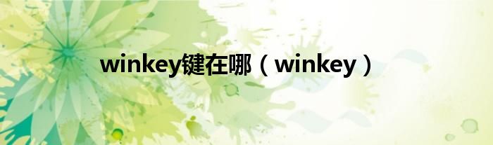 winkey键在哪【winkey】