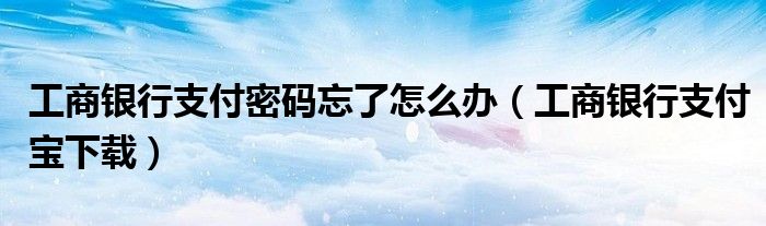 工商银行支付密码忘了怎么办【工商银行支付宝下载】