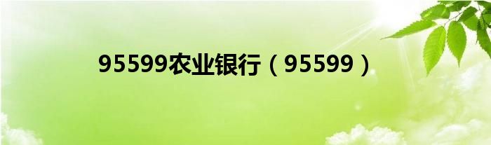 95599农业银行【95599】