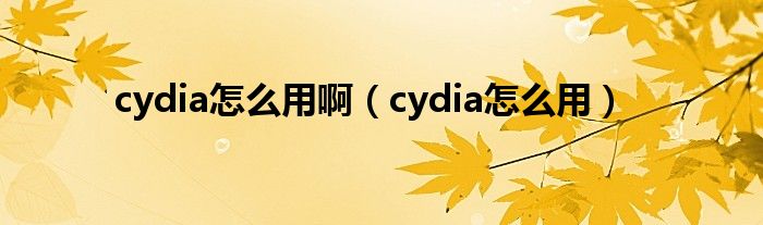 cydia怎么用啊【cydia怎么用】