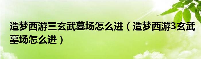 造梦西游三玄武墓场怎么进【造梦西游3玄武墓场怎么进】