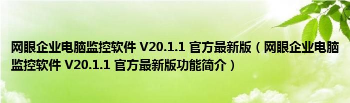 网眼企业电脑监控软件 V20.1.1 官方最新版【网眼企业电脑监控软件 V20.1.1 官方最新版功能简介】