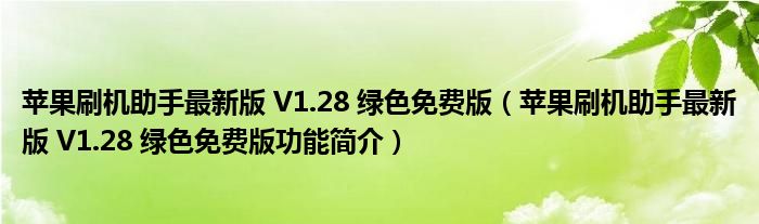 苹果刷机助手最新版 V1.28 绿色免费版【苹果刷机助手最新版 V1.28 绿色免费版功能简介】