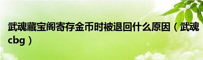 武魂藏宝阁寄存金币时被退回什么原因【武魂cbg】