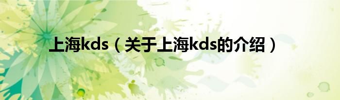 上海kds【关于上海kds的介绍】