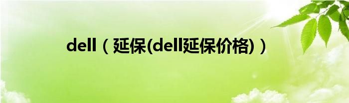 dell【延保(dell延保价格)】