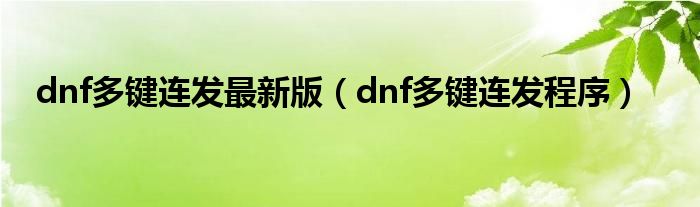 dnf多键连发最新版【dnf多键连发程序】