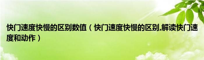 快门速度快慢的区别数值【快门速度快慢的区别,解读快门速度和动作】