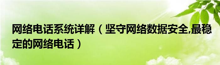 网络电话系统详解【坚守网络数据安全,最稳定的网络电话】