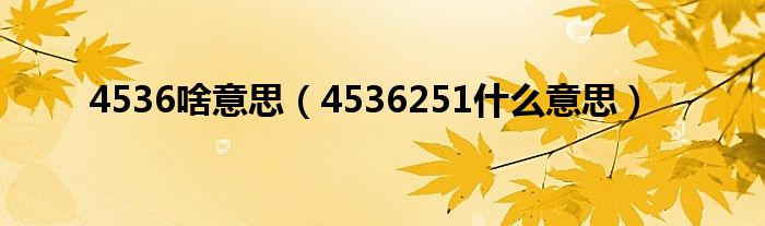 4536啥意思【4536251什么意思】