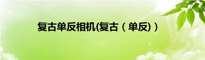 复古单反相机(复古【单反)】