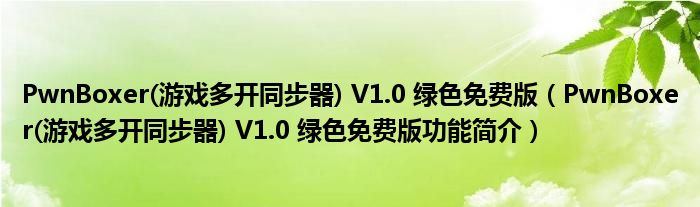 PwnBoxer(游戏多开同步器) V1.0 绿色免费版【PwnBoxer(游戏多开同步器) V1.0 绿色免费版功能简介】