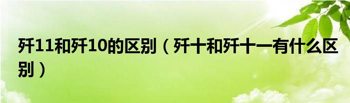 歼11和歼10的区别【歼十和歼十一有什么区别】