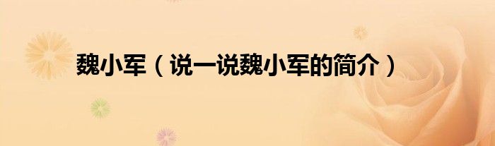 魏小军【说一说魏小军的简介】