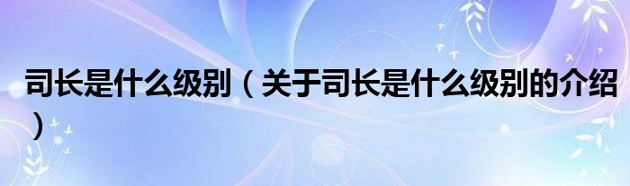 司长是什么级别【关于司长是什么级别的介绍】