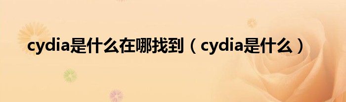 cydia是什么在哪找到【cydia是什么】