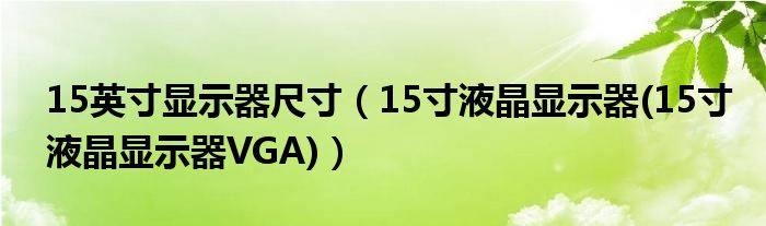 15英寸显示器尺寸【15寸液晶显示器(15寸液晶显示器VGA)】