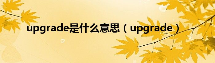 upgrade是什么意思【upgrade】