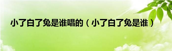 小了白了兔是谁唱的【小了白了兔是谁】