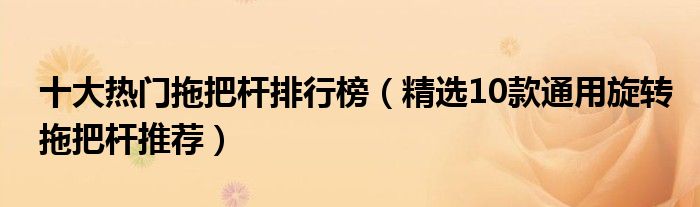 十大热门拖把杆排行榜【精选10款通用旋转拖把杆推荐】