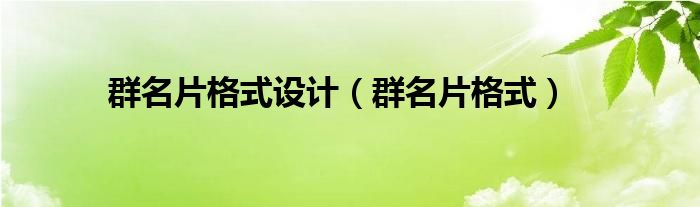 群名片格式设计【群名片格式】