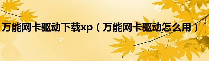 万能网卡驱动下载xp【万能网卡驱动怎么用】