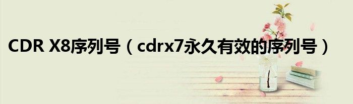 CDR X8序列号【cdrx7永久有效的序列号】