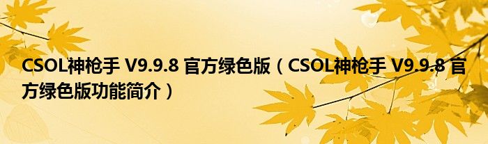 CSOL神枪手 V9.9.8 官方绿色版【CSOL神枪手 V9.9.8 官方绿色版功能简介】