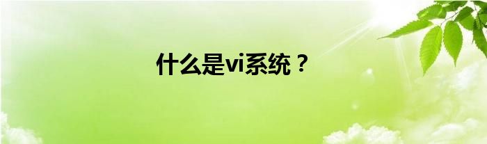 什么是vi系统？