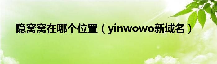 隐窝窝在哪个位置【yinwowo新域名】