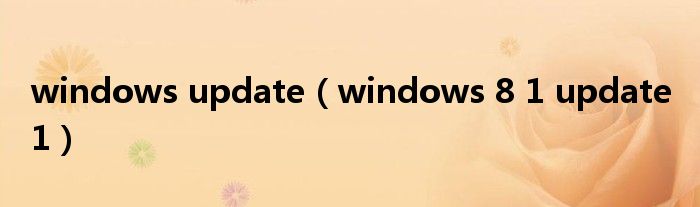 windows update【windows 8 1 update 1】