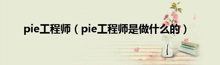 pie工程师【pie工程师是做什么的】