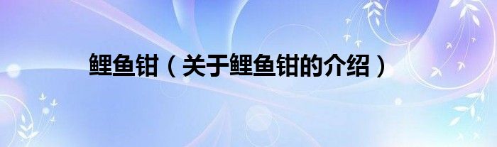 鲤鱼钳【关于鲤鱼钳的介绍】